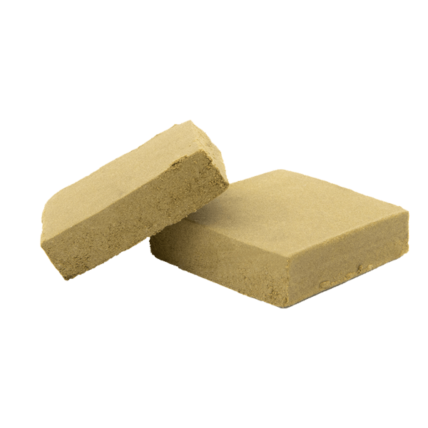 Hash Primero, le plus puissant des hash avec 28% de CBD