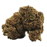 Fleur de CBD Purple Haze cultivée en intérieur, avec des arômes de fruits des bois et des effets relaxants