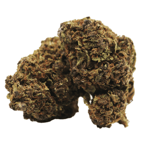 Fleur de CBD Purple Haze cultivée en intérieur, avec des arômes de fruits des bois et des effets relaxants