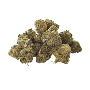 Small Buds Amnesia CBD Greenhouse - Fleurs de CBD aux arômes terreux et citronnés