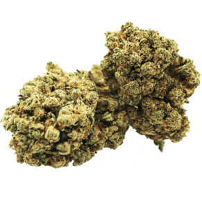 AMNESIA INDOOR CBG