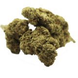 CANDY KUSH CBN