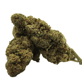 PLUTONIUM 8-OH-HHC