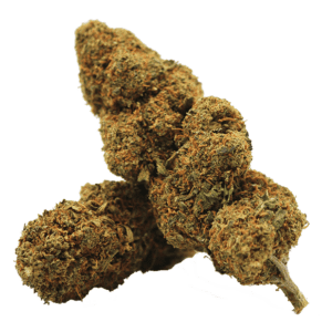 RASPBERRY GREENHOUSE 10-OH-HHC