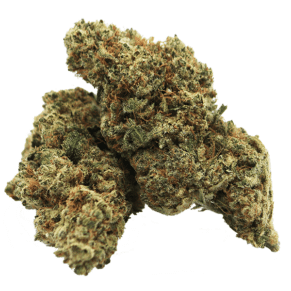 Fleur de CBD V1 cultivée en intérieur, avec des arômes fruités et des notes de baies sucrées, combinées à des nuances terreuses.