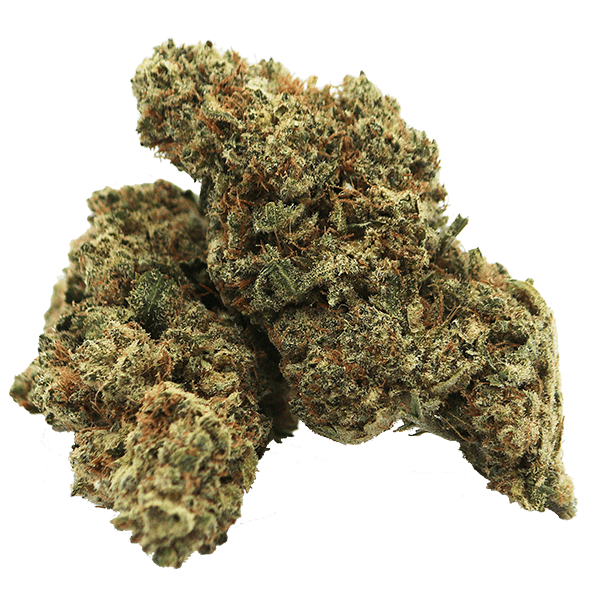 Fleur de CBD V1 cultivée en intérieur, avec des arômes fruités et des notes de baies sucrées, combinées à des nuances terreuses.