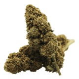 AMNESIA GREENHOUSE CBN