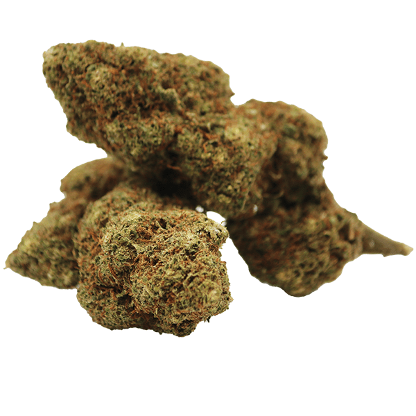 Fleur de CBD Diesel Tonic cultivée en Greenhouse, avec des arômes citronnés et effet stimulant