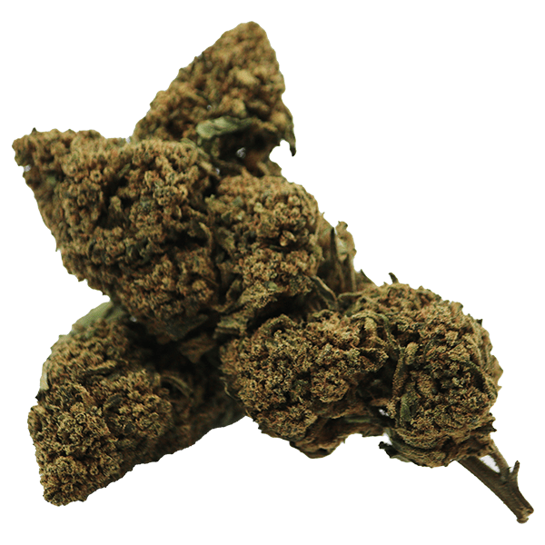 FRUIT PASSION 10-OH-HHC