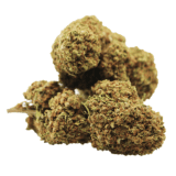 Mad Queen CBD Greenhouse - Fleurs de CBD puissantes et aromatiques