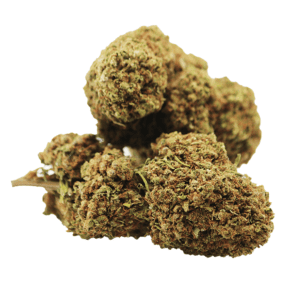 Mad Queen CBD Greenhouse - Fleurs de CBD puissantes et aromatiques