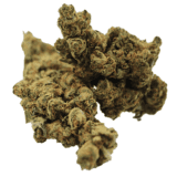 Fleur de CBD NLX cultivée en intérieur, avec des arômes boisés et des effets relaxants