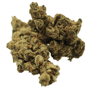 Fleur de CBD NLX cultivée en intérieur, avec des arômes boisés et des effets relaxants