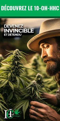 Découvrez nos produits à base de 10-OH-HHC