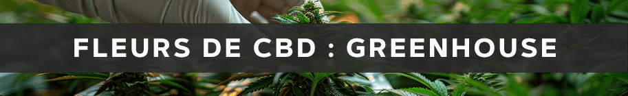 Fleurs de CBD Greenhouse - Cultivées en serre pour une qualité naturelle