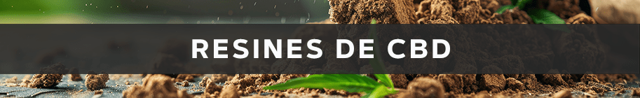 Résines de CBD - Arômes puissants et détente naturelle