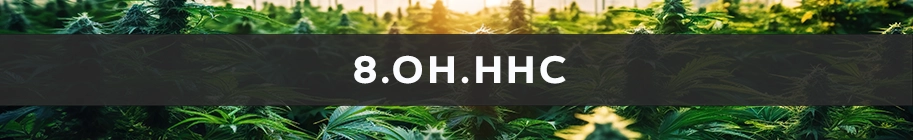 Cannabinoïde 8-OH-HHC pour relaxation apaisante