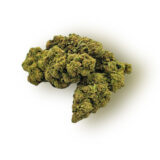 Jack Herer
