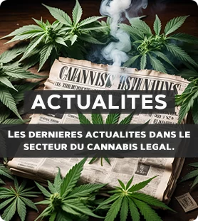 Actualites